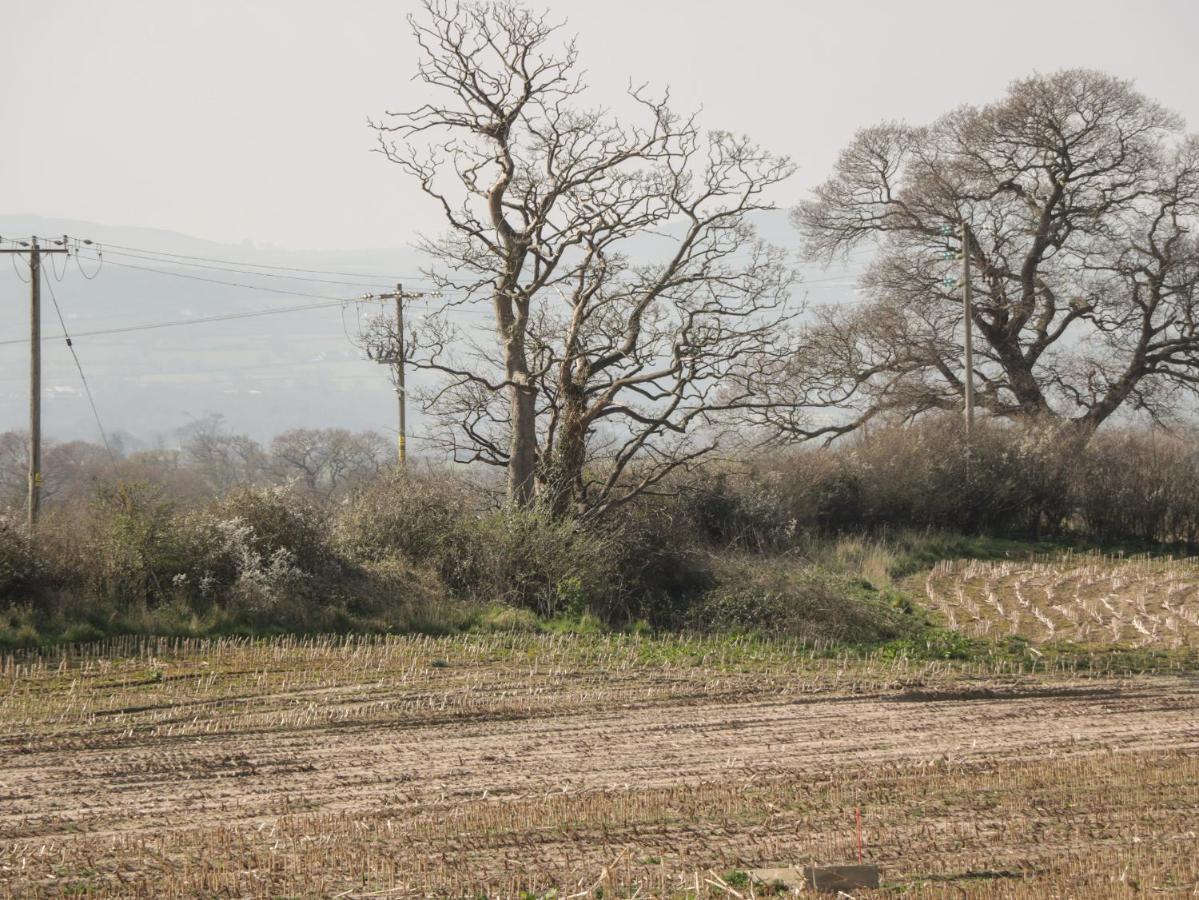 Vila Gwynant Rhyl Exteriér fotografie