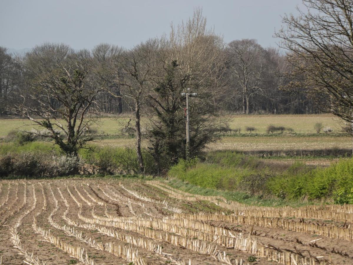 Vila Gwynant Rhyl Exteriér fotografie